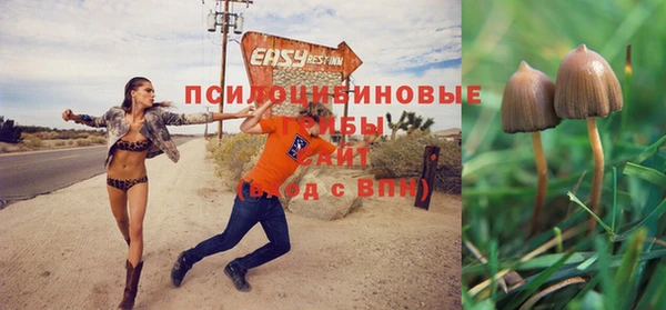 марки lsd Балахна