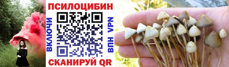Купить закладки  Горняк  Псилоцибиновые грибы мухоморы 